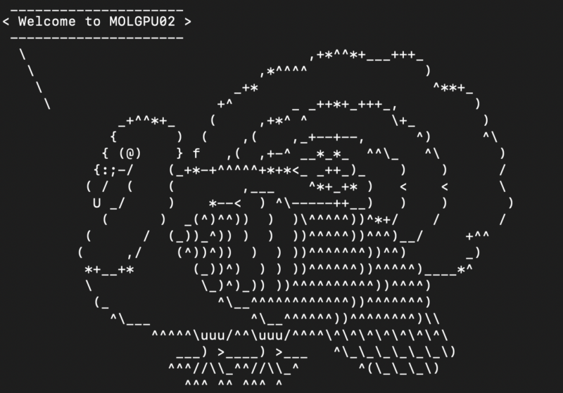A terminal screenshot featuring an ASCII art of a turkey, with the text